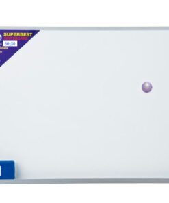 Conference and Presentation